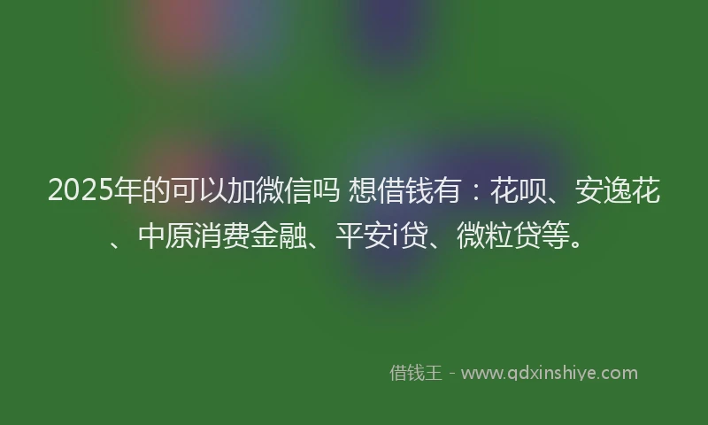 2025年的可以加微信吗 想借钱有：花呗、安逸花、中原消费金融、平安i贷、微粒贷等。