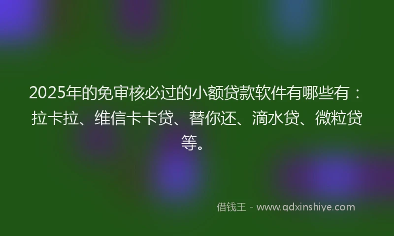 2025年的免审核必过的小额贷款软件有哪些有：拉卡拉、维信卡卡贷、替你还、滴水贷、微粒贷等。