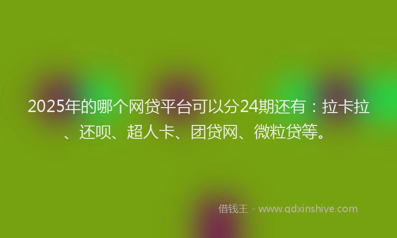 2025年的哪个网贷平台可以分24期还有：拉卡拉、还呗、超人卡、团贷网、微粒贷等。