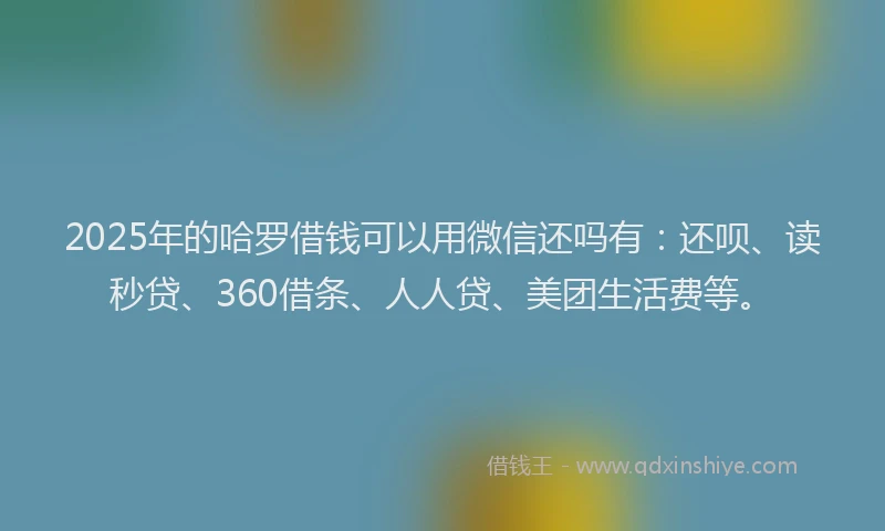 2025年的哈罗借钱可以用微信还吗有：还呗、读秒贷、360借条、人人贷、美团生活费等。
