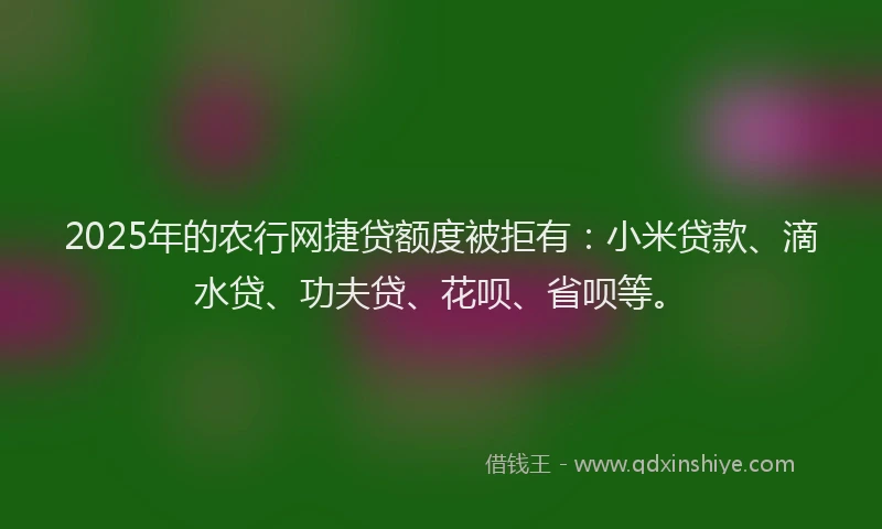 2025年的农行网捷贷额度被拒有：小米贷款、滴水贷、功夫贷、花呗、省呗等。