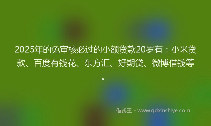 2025年的免审核必过的小额贷款20岁有：小米贷款、百度有钱花、东方汇、好期贷、微博借钱等。