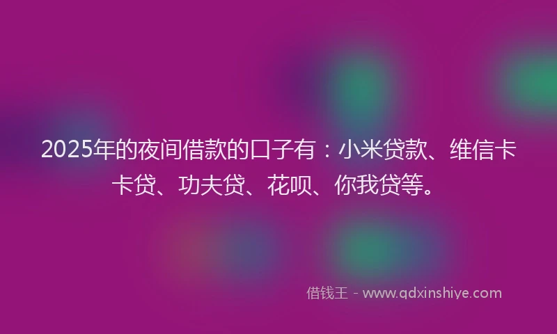 2025年的夜间借款的口子有：小米贷款、维信卡卡贷、功夫贷、花呗、你我贷等。