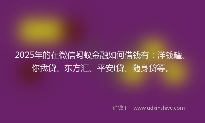 2025年的在微信蚂蚁金融如何借钱有：洋钱罐、你我贷、东方汇、平安i贷、随身贷等。