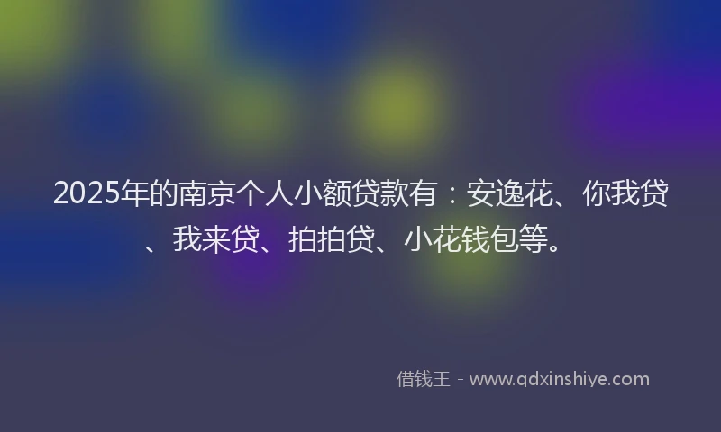 2025年的南京个人小额贷款有：安逸花、你我贷、我来贷、拍拍贷、小花钱包等。