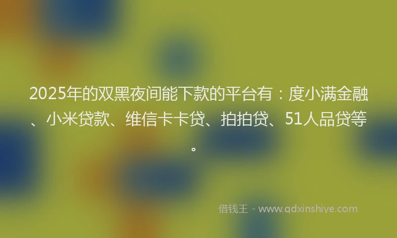 2025年的双黑夜间能下款的平台有：度小满金融、小米贷款、维信卡卡贷、拍拍贷、51人品贷等。