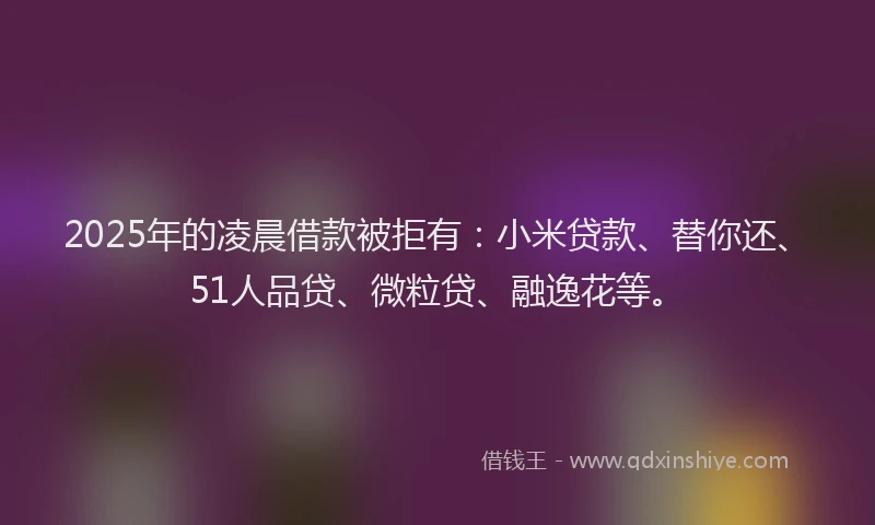2025年的凌晨借款被拒有：小米贷款、替你还、51人品贷、微粒贷、融逸花等。