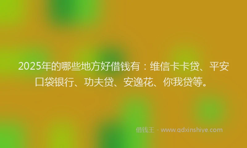 2025年的哪些地方好借钱有：维信卡卡贷、平安口袋银行、功夫贷、安逸花、你我贷等。