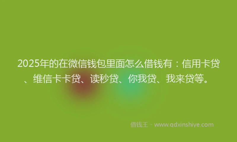 2025年的在微信钱包里面怎么借钱有：信用卡贷、维信卡卡贷、读秒贷、你我贷、我来贷等。