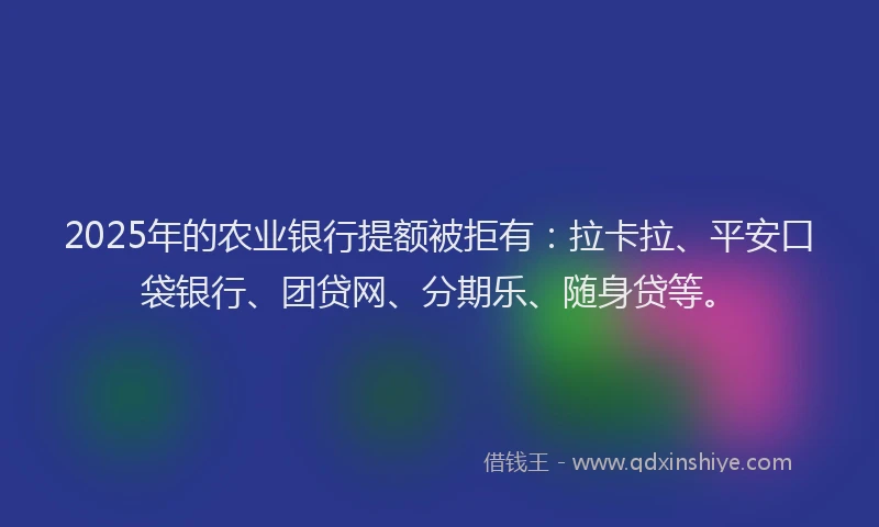 2025年的农业银行提额被拒有：拉卡拉、平安口袋银行、团贷网、分期乐、随身贷等。