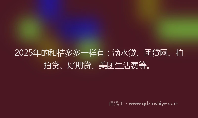 2025年的和桔多多一样有：滴水贷、团贷网、拍拍贷、好期贷、美团生活费等。