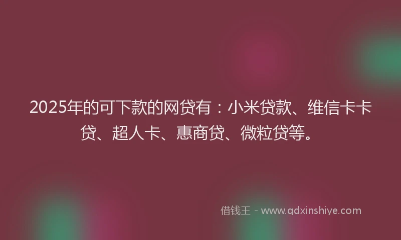 2025年的可下款的网贷有：小米贷款、维信卡卡贷、超人卡、惠商贷、微粒贷等。