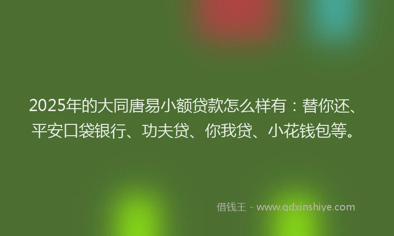 2025年的大同唐易小额贷款怎么样有：替你还、平安口袋银行、功夫贷、你我贷、小花钱包等。