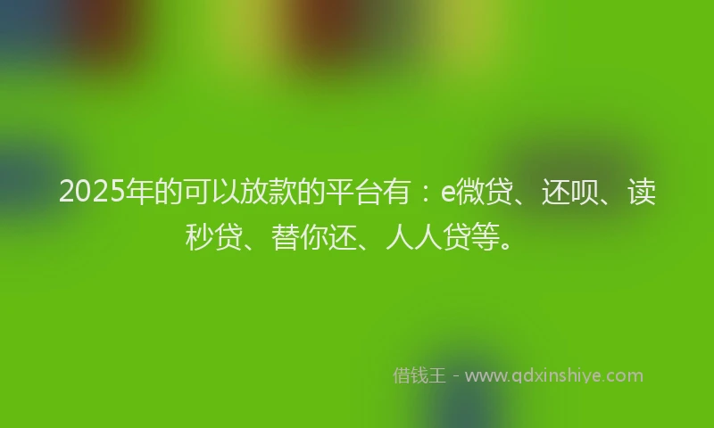 2025年的可以放款的平台有：e微贷、还呗、读秒贷、替你还、人人贷等。