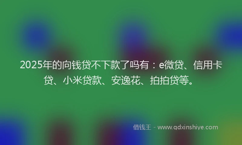 2025年的向钱贷不下款了吗有：e微贷、信用卡贷、小米贷款、安逸花、拍拍贷等。