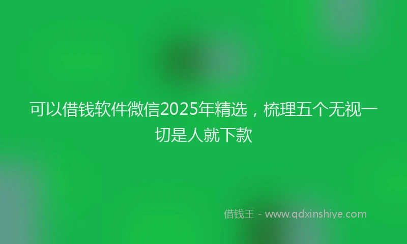 可以借钱软件微信2025年精选，梳理五个无视一切是人就下款