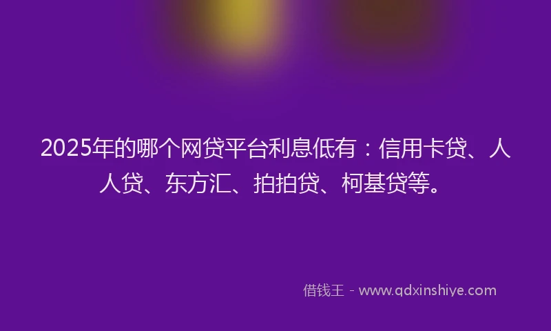 2025年的哪个网贷平台利息低有：信用卡贷、人人贷、东方汇、拍拍贷、柯基贷等。