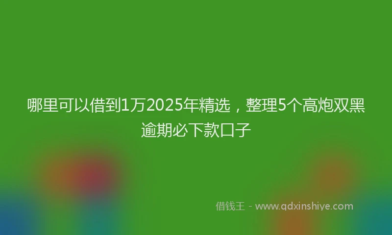 哪里可以借到1万2025年精选，整理5个高炮双黑逾期必下款口子