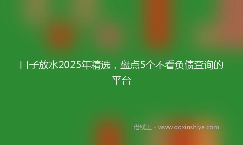 口子放水2025年精选，盘点5个不看负债查询的平台