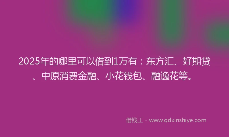 2025年的哪里可以借到1万有：东方汇、好期贷、中原消费金融、小花钱包、融逸花等。