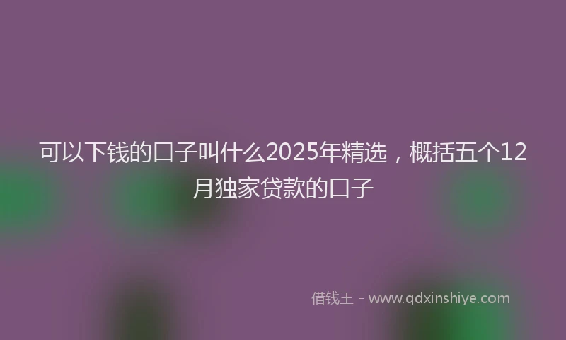 可以下钱的口子叫什么2025年精选，概括五个12月独家贷款的口子