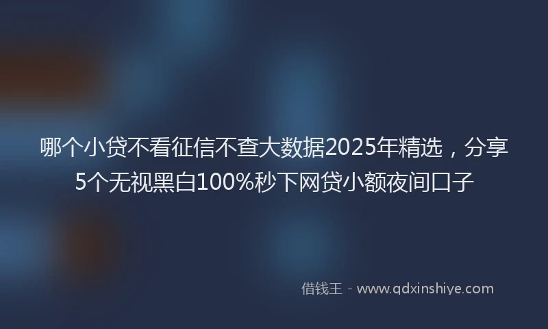 哪个小贷不看征信不查大数据2025年精选，分享5个无视黑白100%秒下网贷小额夜间口子