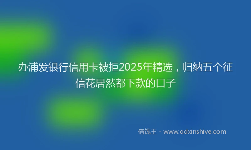 办浦发银行信用卡被拒2025年精选，归纳五个征信花居然都下款的口子