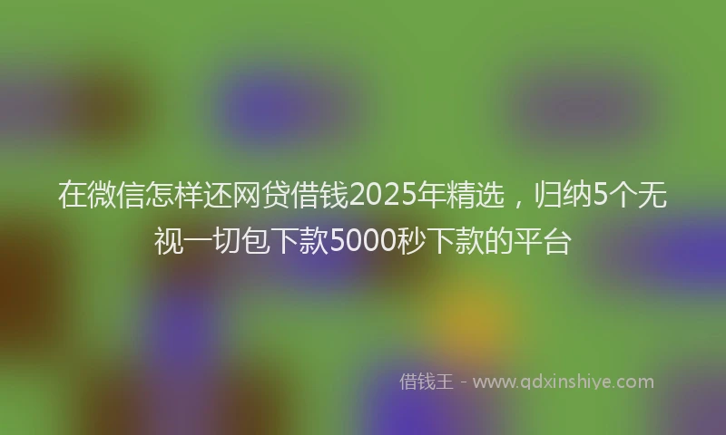 在微信怎样还网贷借钱2025年精选，归纳5个无视一切包下款5000秒下款的平台