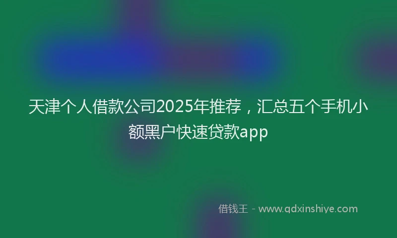 天津个人借款公司2025年推荐，汇总五个手机小额黑户快速贷款app