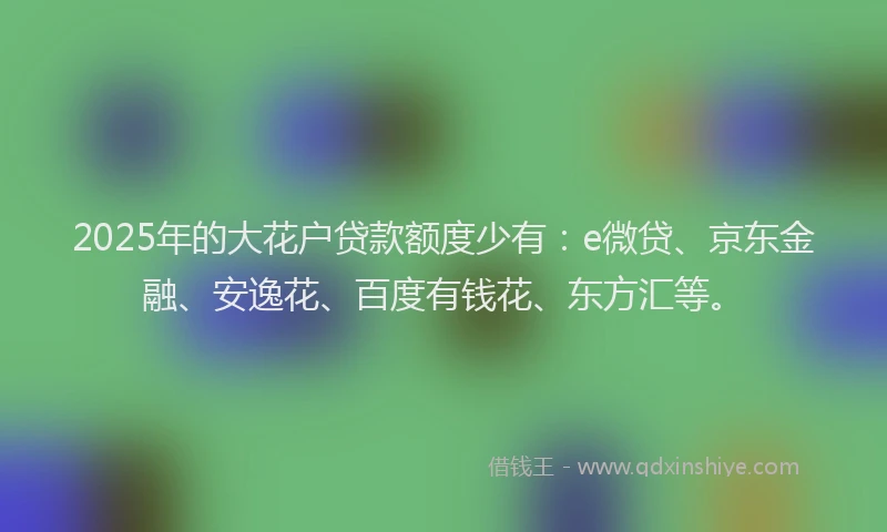 2025年的大花户贷款额度少有：e微贷、京东金融、安逸花、百度有钱花、东方汇等。