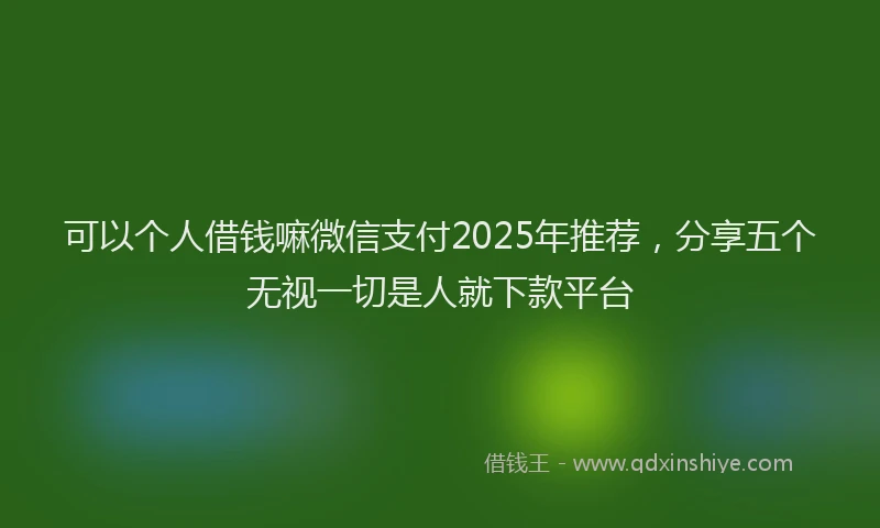可以个人借钱嘛微信支付2025年推荐，分享五个无视一切是人就下款平台