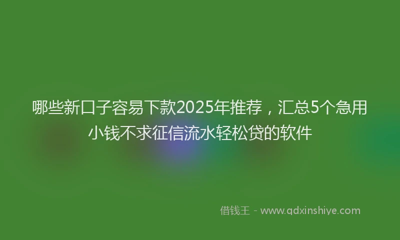 哪些新口子容易下款2025年推荐，汇总5个急用小钱不求征信流水轻松贷的软件