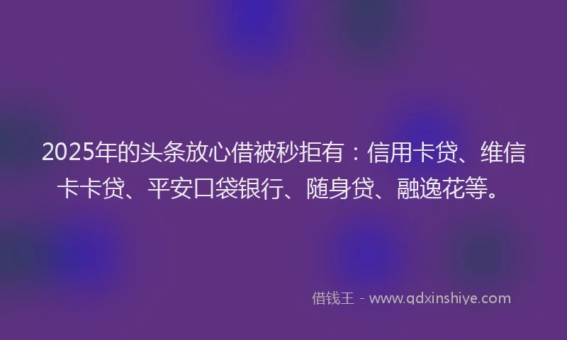 2025年的头条放心借被秒拒有：信用卡贷、维信卡卡贷、平安口袋银行、随身贷、融逸花等。
