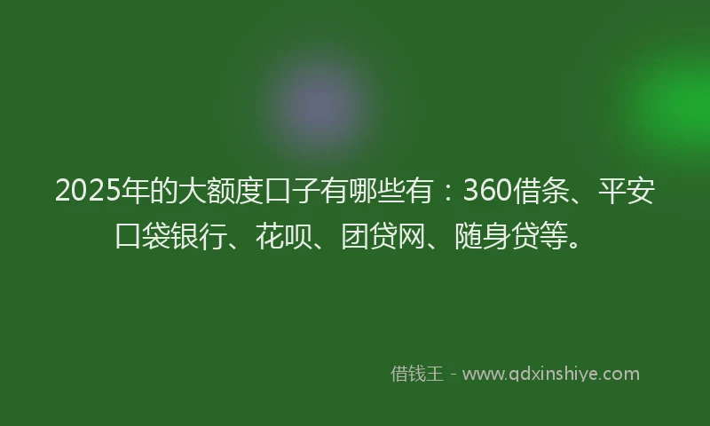 2025年的大额度口子有哪些有：360借条、平安口袋银行、花呗、团贷网、随身贷等。