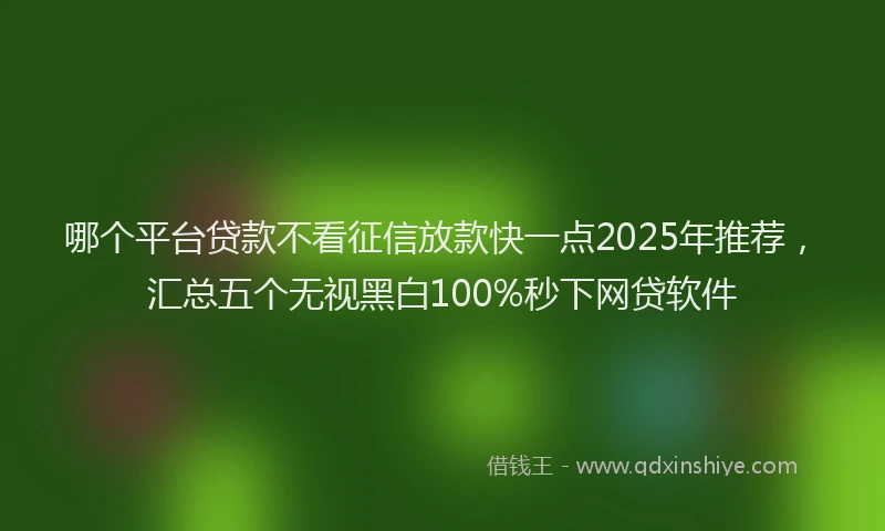 哪个平台贷款不看征信放款快一点2025年推荐，汇总五个无视黑白100%秒下网贷软件