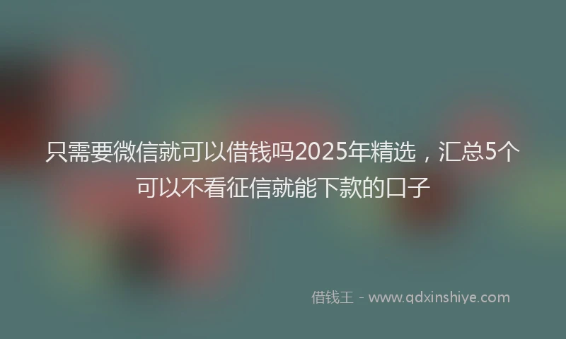 只需要微信就可以借钱吗2025年精选，汇总5个可以不看征信就能下款的口子