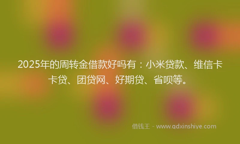 2025年的周转金借款好吗有：小米贷款、维信卡卡贷、团贷网、好期贷、省呗等。