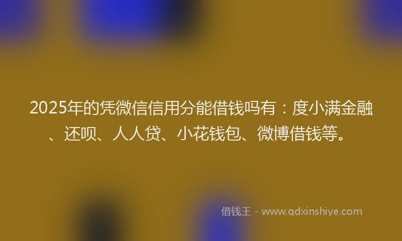 2025年的凭微信信用分能借钱吗有：度小满金融、还呗、人人贷、小花钱包、微博借钱等。