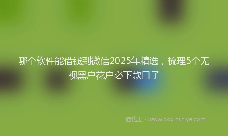 哪个软件能借钱到微信2025年精选，梳理5个无视黑户花户必下款口子