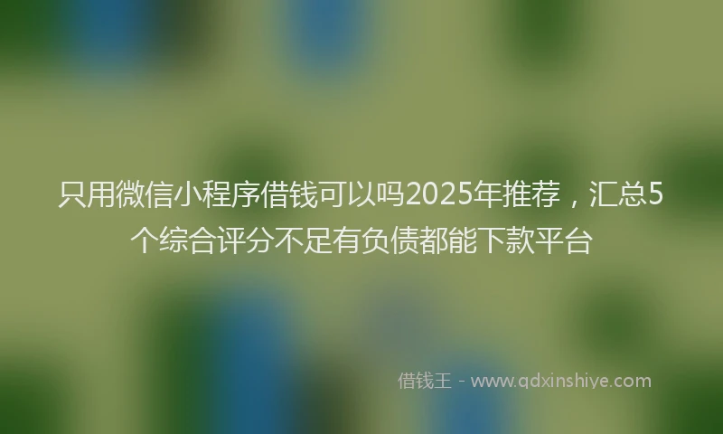 只用微信小程序借钱可以吗2025年推荐，汇总5个综合评分不足有负债都能下款平台