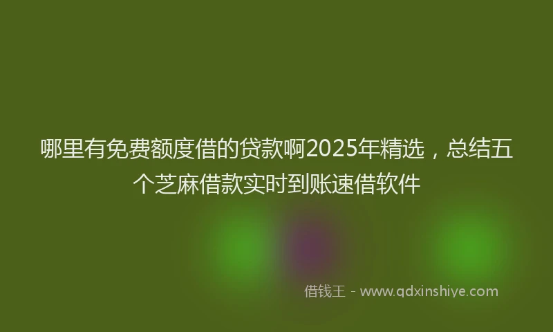 哪里有免费额度借的贷款啊2025年精选，总结五个芝麻借款实时到账速借软件