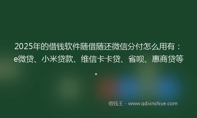 2025年的借钱软件随借随还微信分付怎么用有：e微贷、小米贷款、维信卡卡贷、省呗、惠商贷等。