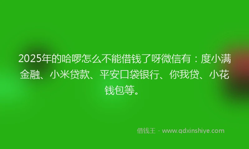 2025年的哈啰怎么不能借钱了呀微信有：度小满金融、小米贷款、平安口袋银行、你我贷、小花钱包等。