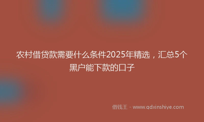 农村借贷款需要什么条件2025年精选，汇总5个黑户能下款的口子