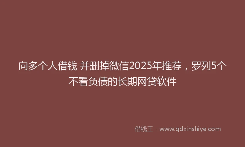向多个人借钱 并删掉微信2025年推荐，罗列5个不看负债的长期网贷软件