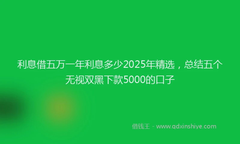利息借五万一年利息多少2025年精选，总结五个无视双黑下款5000的口子