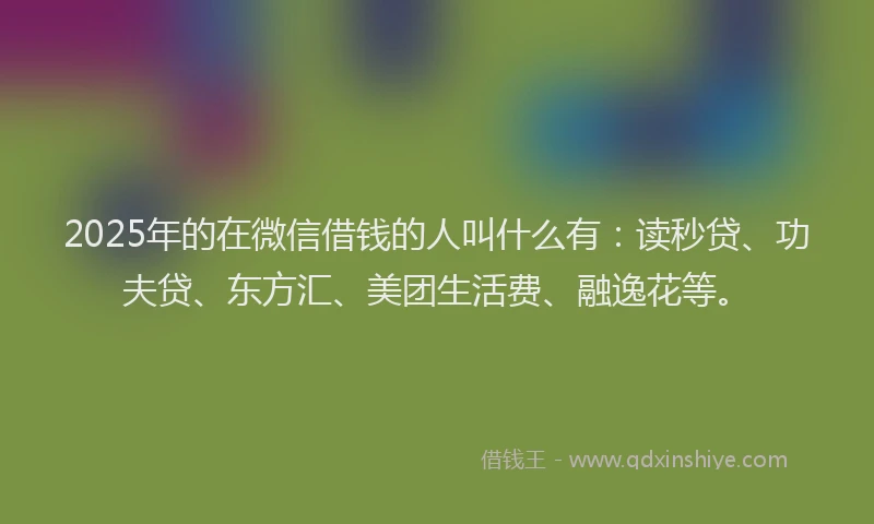 2025年的在微信借钱的人叫什么有：读秒贷、功夫贷、东方汇、美团生活费、融逸花等。