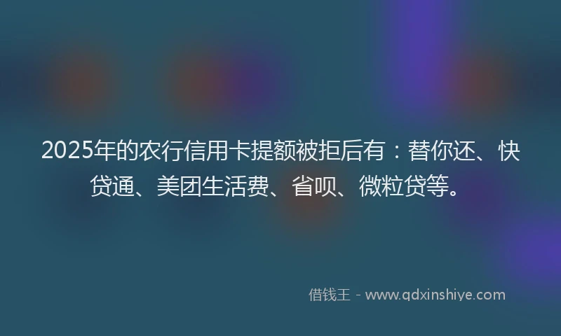 2025年的农行信用卡提额被拒后有：替你还、快贷通、美团生活费、省呗、微粒贷等。