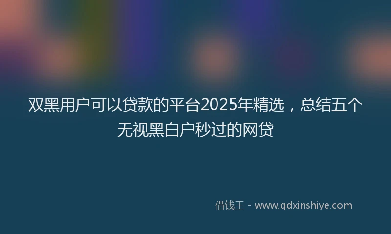 双黑用户可以贷款的平台2025年精选，总结五个无视黑白户秒过的网贷