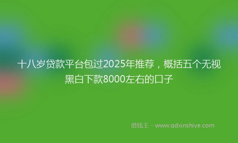 十八岁贷款平台包过2025年推荐，概括五个无视黑白下款8000左右的口子